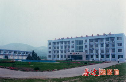 10月，遷安聯(lián)鋼鑫達(dá)鋼鐵有限公司成立；第一座128m3高爐點(diǎn)火生產(chǎn)。
