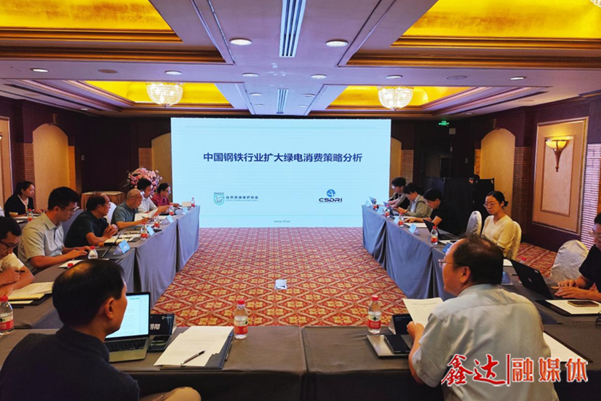 如何更好利用綠電這一減碳利器？——“中國(guó)鋼鐵行業(yè)擴(kuò)大綠電消費(fèi)策略分析”研討會(huì)側(cè)記